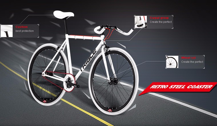 Triace Proposal Design